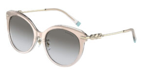 Tiffany & Co TF4189BF-83353C-55 55mm