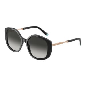 Tiffany & Co TF4192-80013C-54 54mm