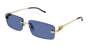 Cartier CT0430S-004 58mm