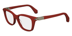 Salvatore Ferragamo SF2973-600-50