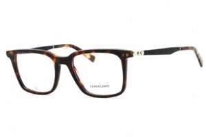 Salvatore Ferragamo SF2969-242-53 553mm