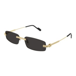Cartier CT0535S-001-57 57mm