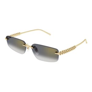 Cartier CT0544S-001-58 58mm